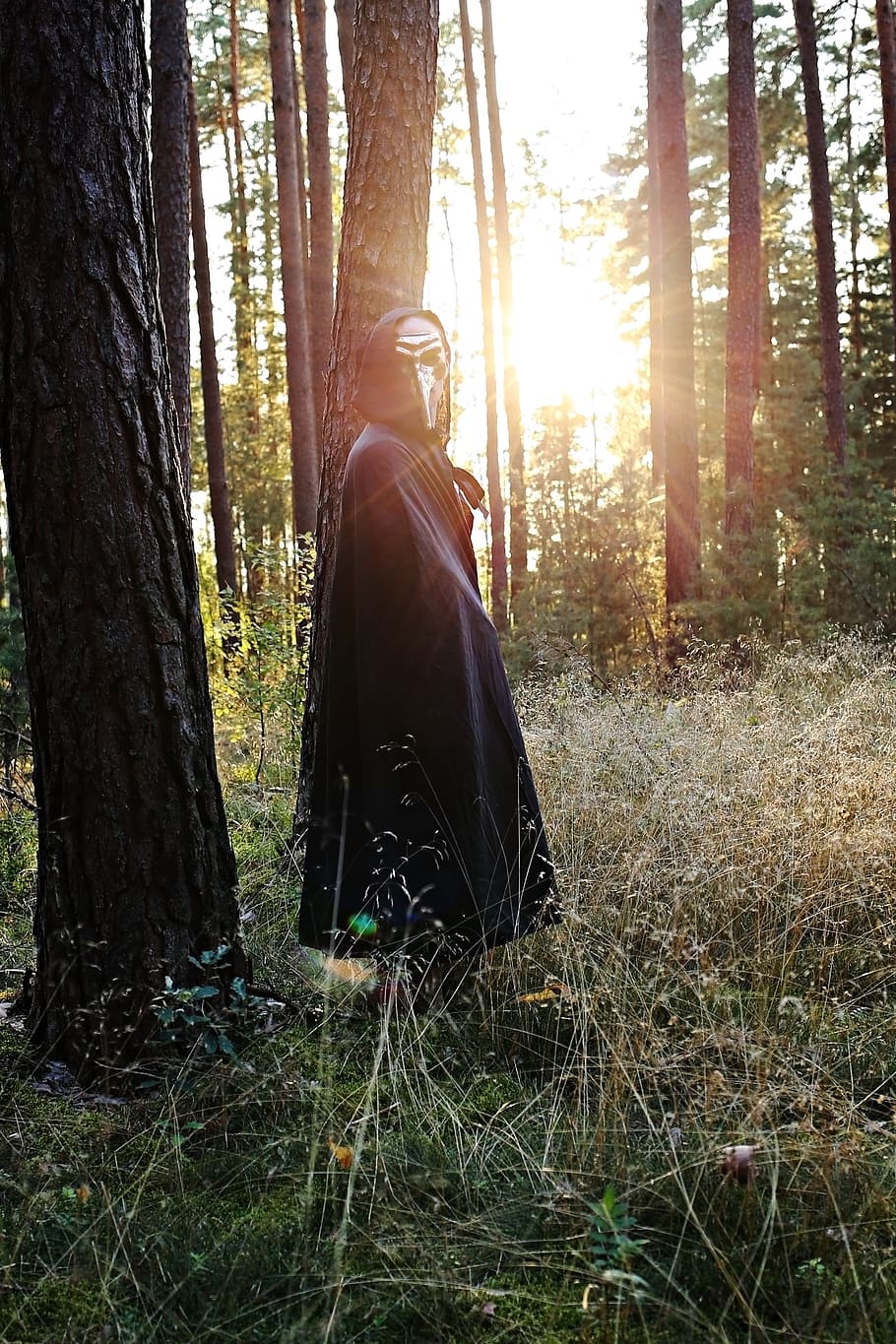 mask, witch, nose, the plague doctor, cloak, halloween, forest, sunset, scary mask, theatre