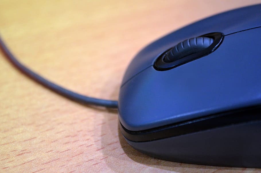 computer mouse, computer, internet, technology, wireless technology, connection, computer equipment, communication, cable, business