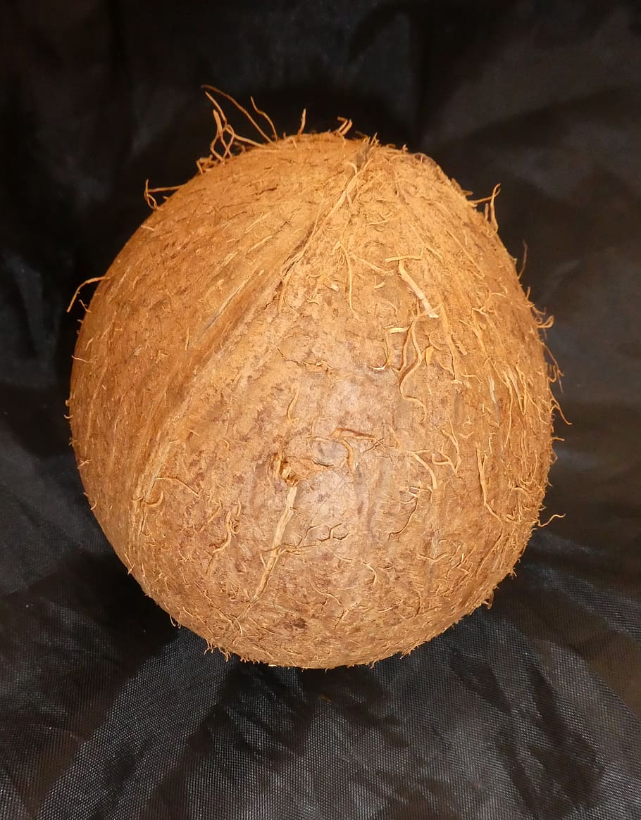 coconut, fruit, palm fruit, tropical, exotic, close-up, food and drink, food, wellbeing, healthy eating