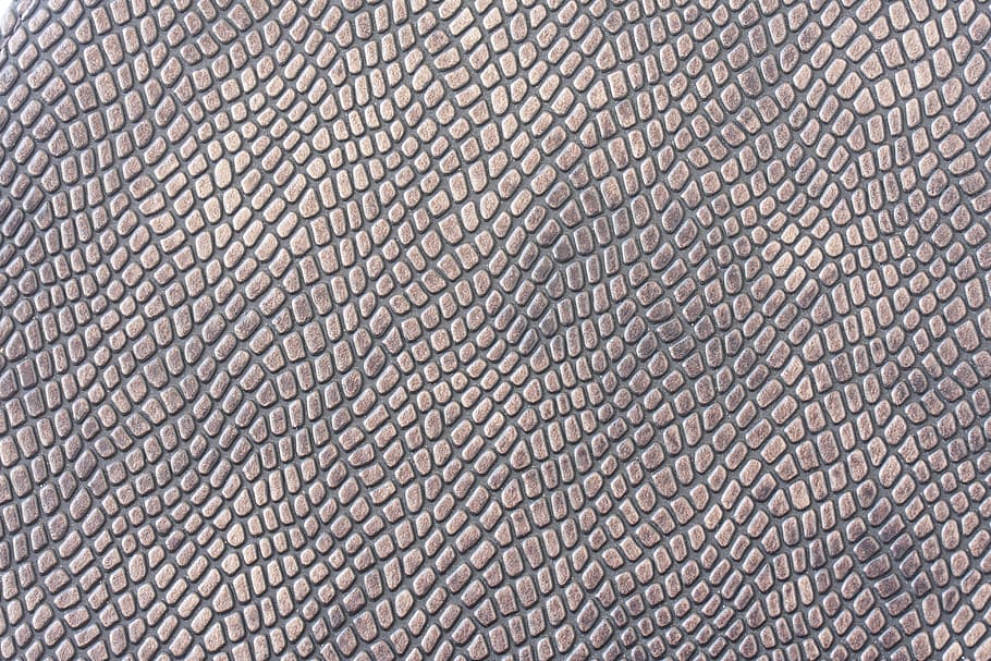 skin, texture, pattern, nobody, close-up, detail shots, color, design, beautiful, surface