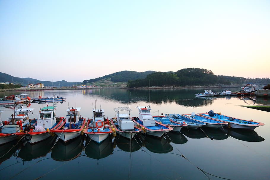 liquidation is also, port, fishing boats, times, ship, republic of korea, slow city, wando, island, sea