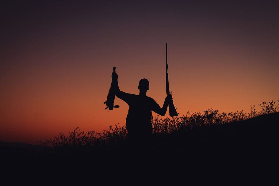 puesta de sol, francotirador, abdul, el arma del francotirador, caza, conejo, sombra, agua, sol, naturaleza