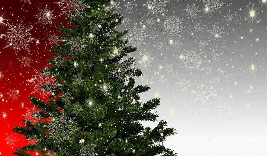 natal, pohon cemara, maket, bintang, kristal es, kepingan salju, musim dingin, pohon natal, kedatangan, salam natal