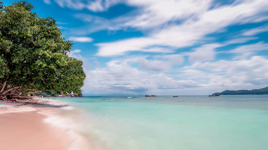 seychelles, beach, sea, recreation, la digue, an island, holiday, sand, nature, tropical