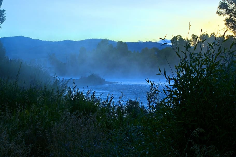 mist on gros ventre, mist, morning, forest, fog, landscape, sunrise, nature, trees, haze