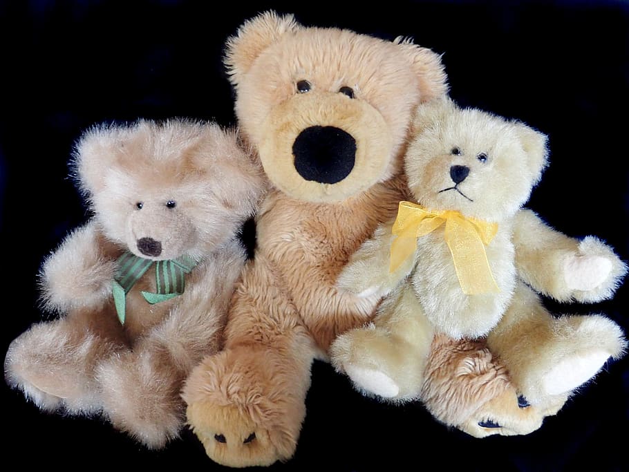 teddy, bears, family, cute, fluffy, toys, binatang menyusui, boneka, mainan, hewan