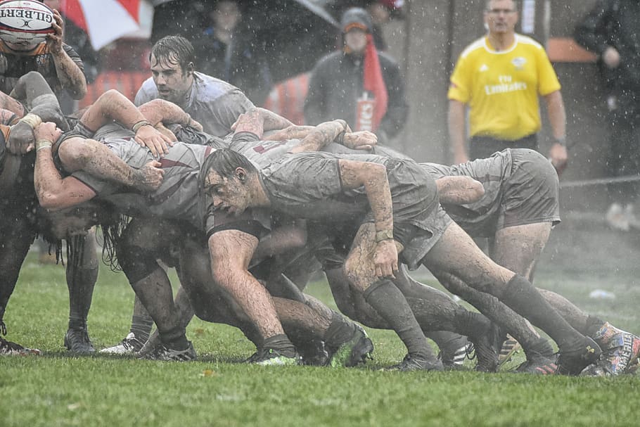 rugby, mud, college, scrum, group of people, day, mammal, competition, real people, grass