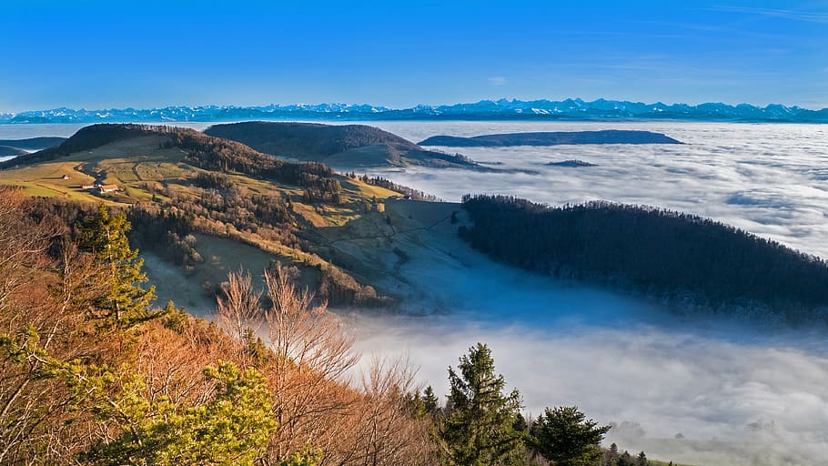 mar de niebla, niebla, vista, suiza, jura, mittelland, perspectiva, vista distante, alpino, alpes