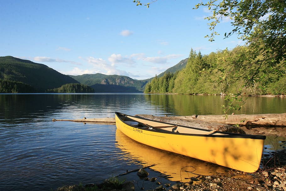 canoe, outdoors, water, sport, leisure, canoeing, outdoor, summer, activity, explore