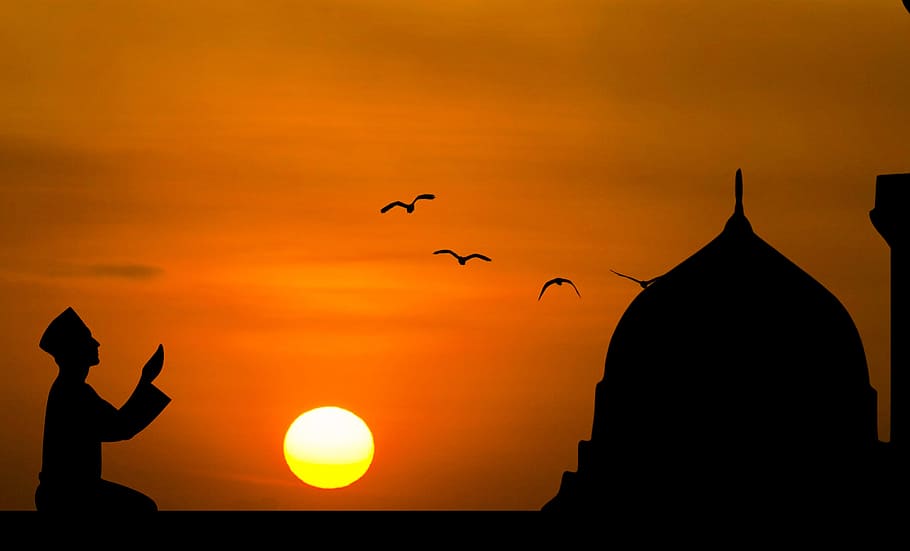 silueta, hombre, rezando, puesta de sol de fondo, fondo., islámico, oración, anochecer, sol, pájaro