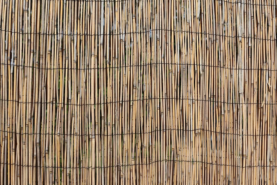 wall, divider, hawaii, wood, bamboo, reed, beach, caribbean, text, schilff
