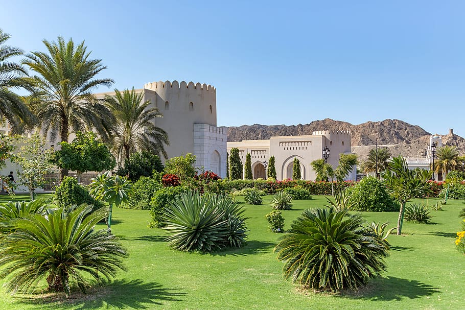 palace, sultan, oman, plant, tree, built structure, palm tree, tropical climate, building exterior, architecture