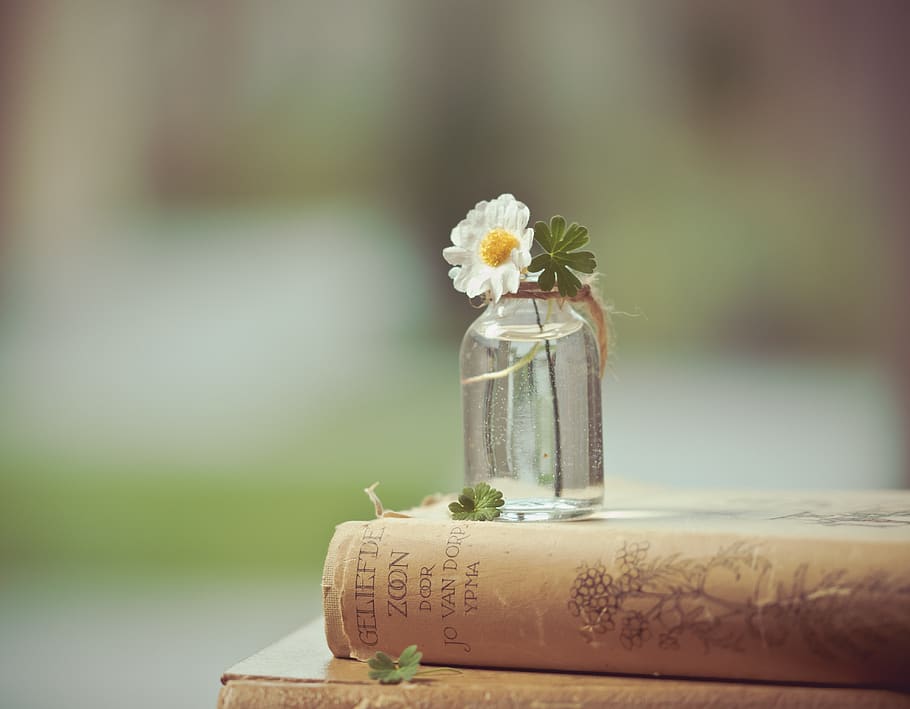 flower, book, read, flowers, books, romantic, old, antique, table, background