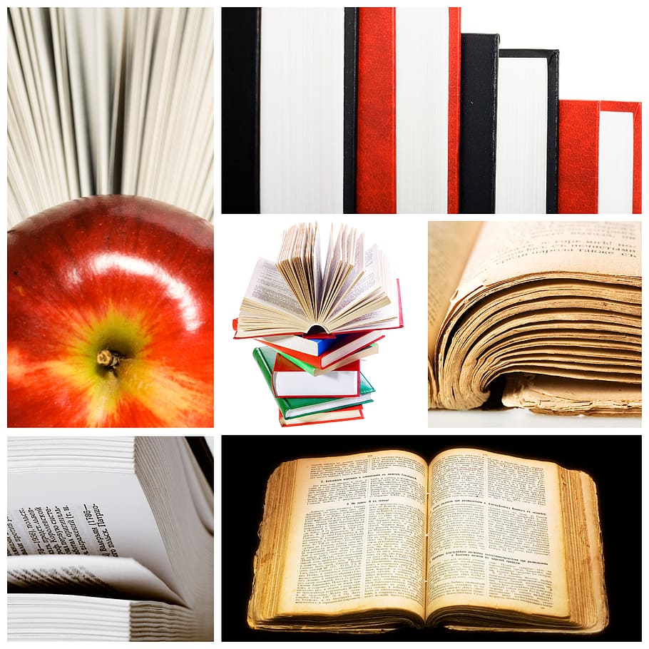 livro, conhecimento, literário, literatura, novo, objeto, livro didático, sabedoria, publicação, natureza morta