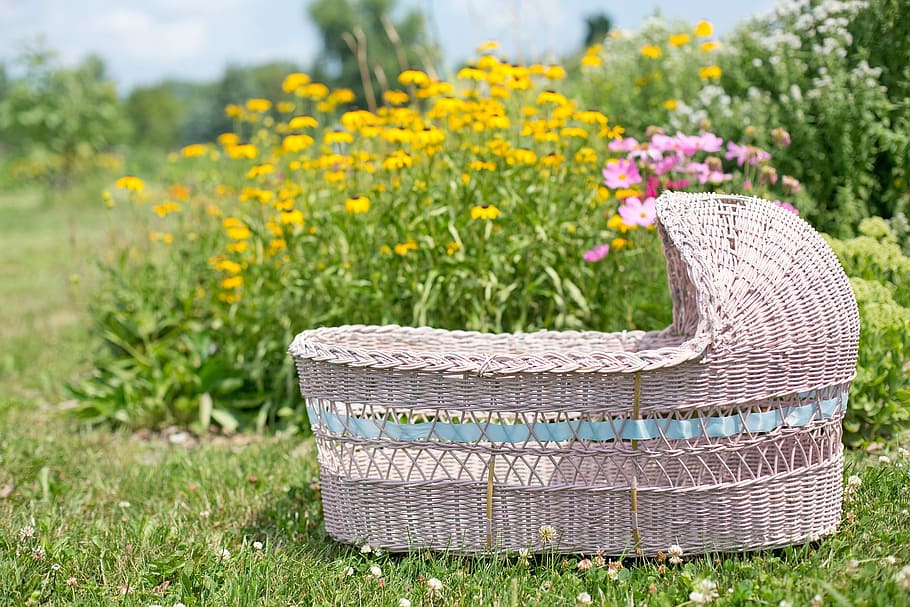 bassinet, baby, bed, object, flower, garden, blooming, nature, plant, flowering plant