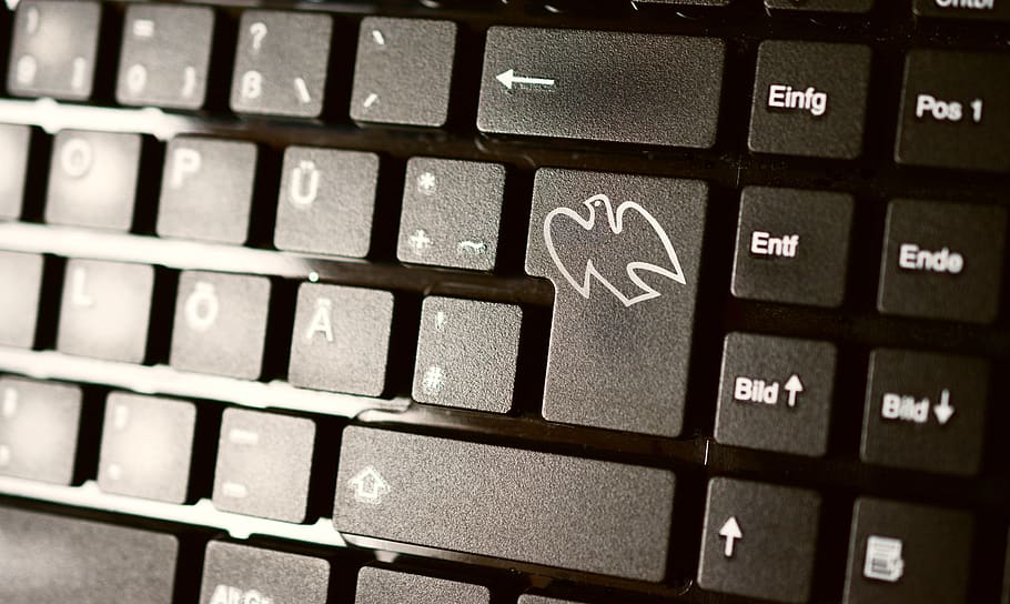 keyboard, computer, peace dove, harmony, symbol, input, click, enter key, button, enter