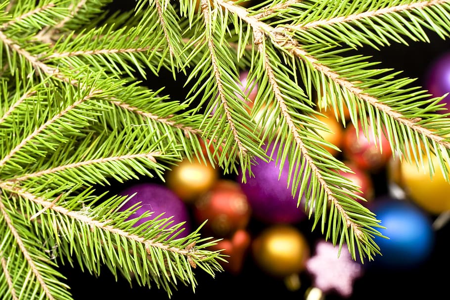 bola, bugiganga, preto, brilhante, celebração, natal, árvore de natal, cor, decoração, presente