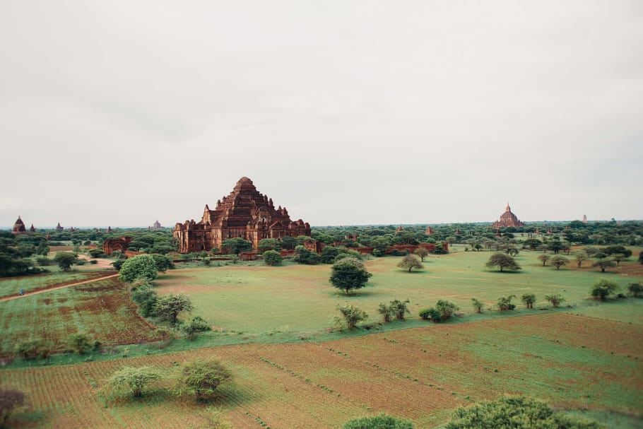 ancient, temples, forest, surrounded, trees, archaeology, architecture, construction, famous, heritage