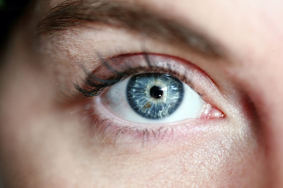 olho, olho azul, mulher, cílios, retrato, pele, menina, visão, fêmea, pestana
