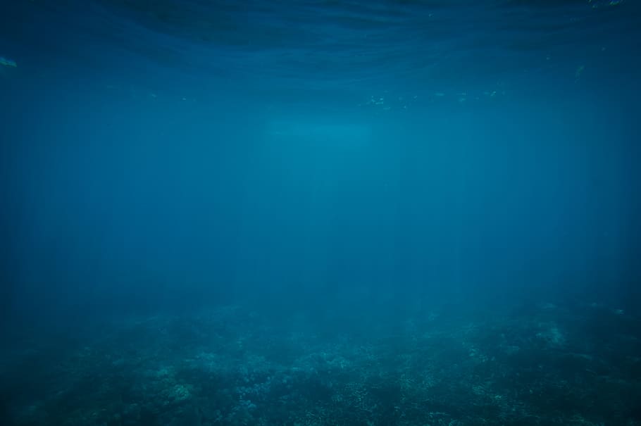 bajo el agua, azul, océano, mar, buceo, marino, aqua, naturaleza, profundo, turquesa