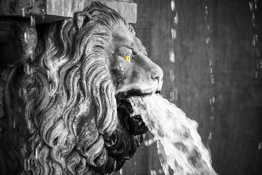 lion, lion head, gargoyle, fountain, threatening, wild, water jet, waterfall, stone figure, figure