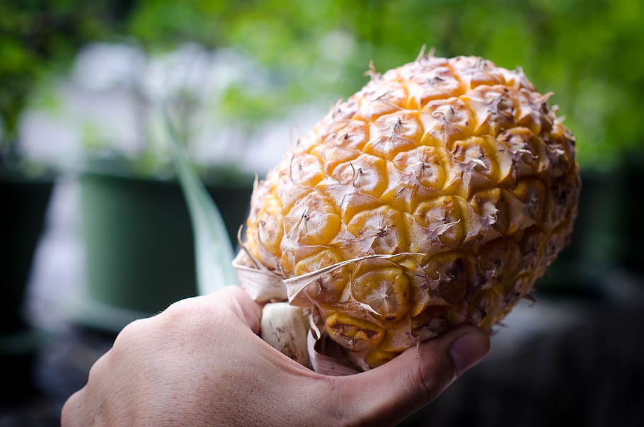 local, pineapple, thailand, fruit, sweet, tropical, fresh, healthy, food, nature