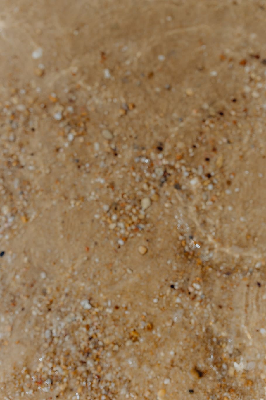 Fondo de playa de arena, conchas de mar y guijarros, -, muchos, redondos, pequeños, piedras, playa, arena, fondo