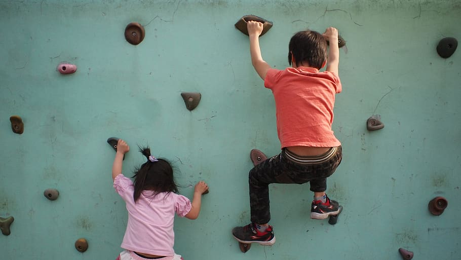 de volta, esforços, crianças, escalada na parede, parque, jogar, criança, infância, parede de escalada, vista traseira