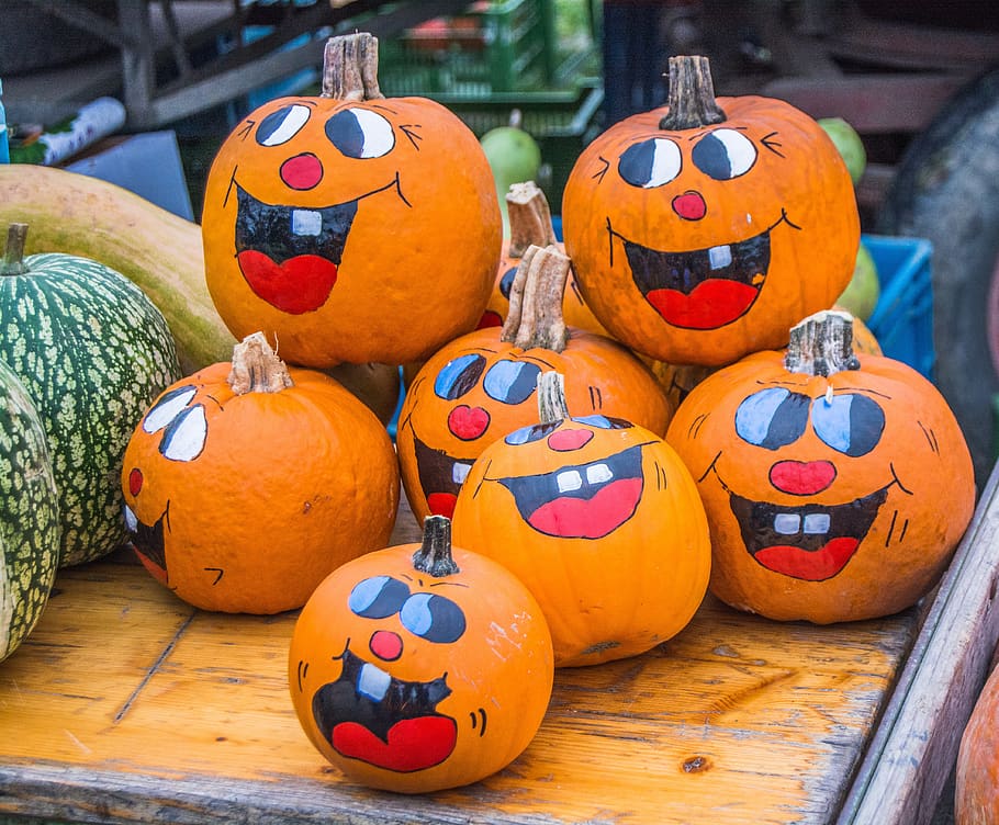 pumpkin, festival, halloween, autumn, decoration, october, celebrate, pumpkins, decorations, season