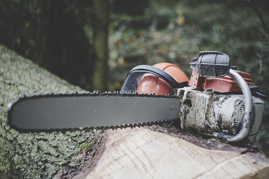 chainsaw, forestry, tree, cases, wood, forest, nature, tribe, timber, section