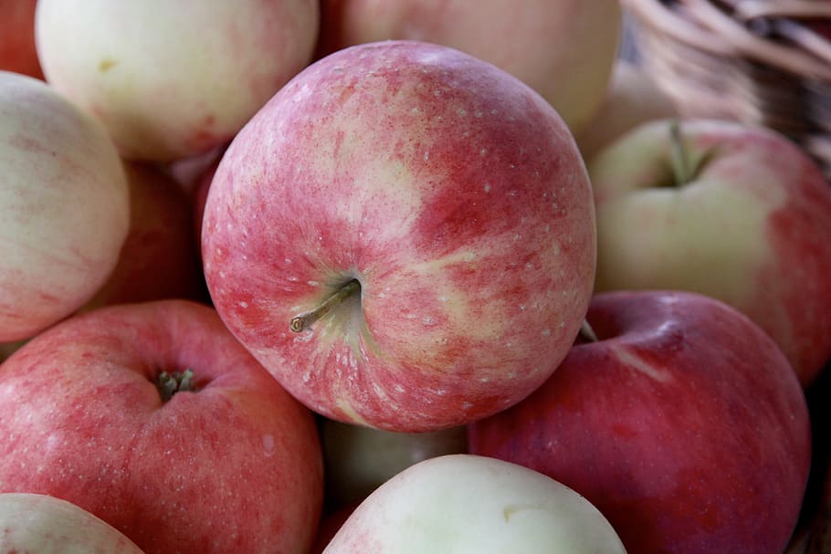 cosecha de manzanas, manzana, cerrar, fruta, saludable, verano, Comida, comida y bebida, alimentación saludable, bienestar