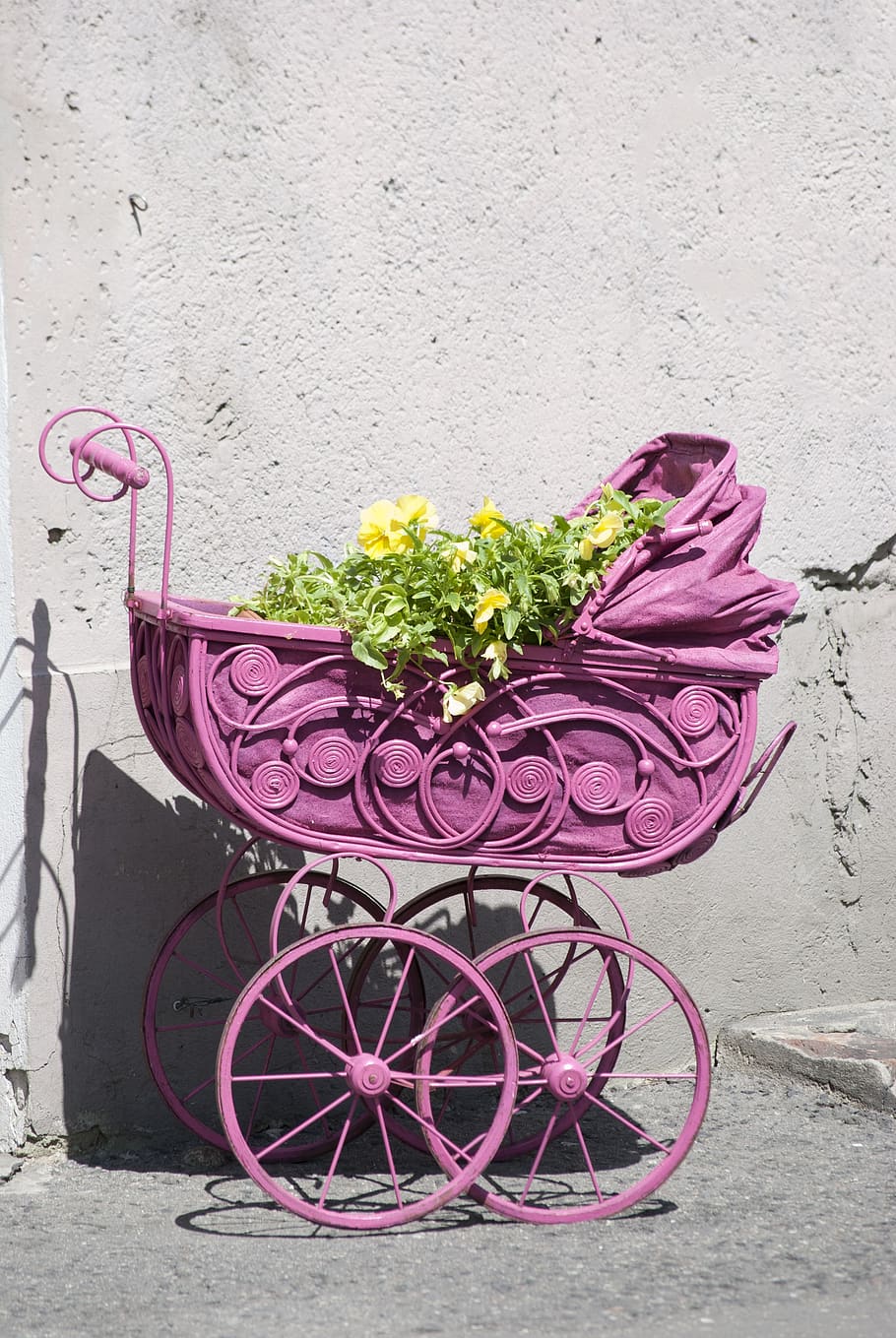 decoration, flowers, stroller, decorative, romantic, summer, colorful, flower, flowering plant, plant