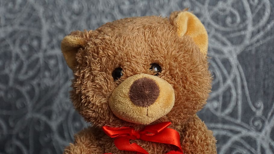 teddy, teddy bear, stuffed animal, furry teddy bear, cute, bears, plush, sweet, funny, children toys
