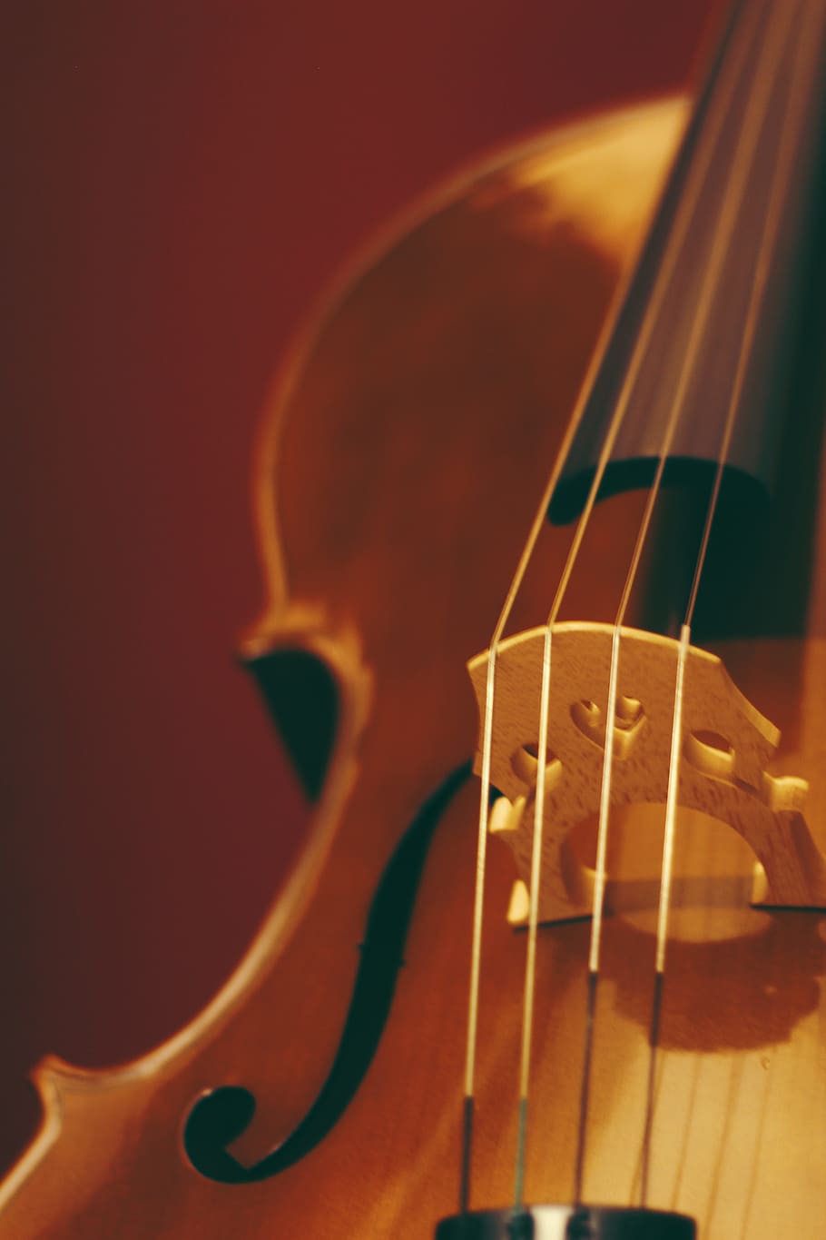 side-view, violin, bow, string, instrument, music, sound, listen, wood, viola