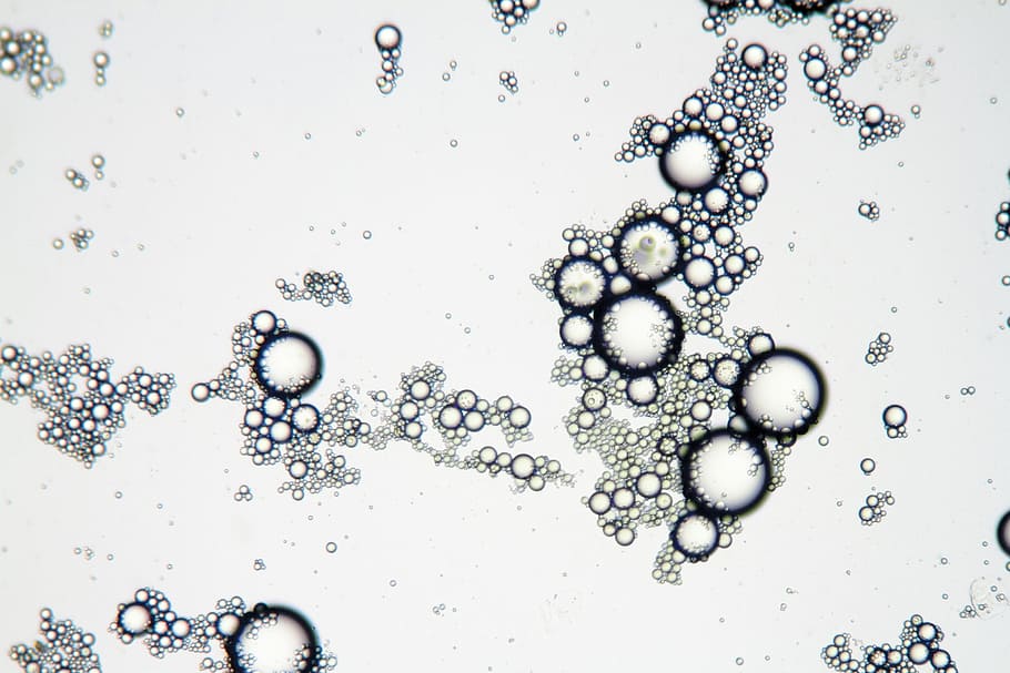mistura, sabão, óleo, visto, microscópio., microscópio, água, química, graxa, micelle