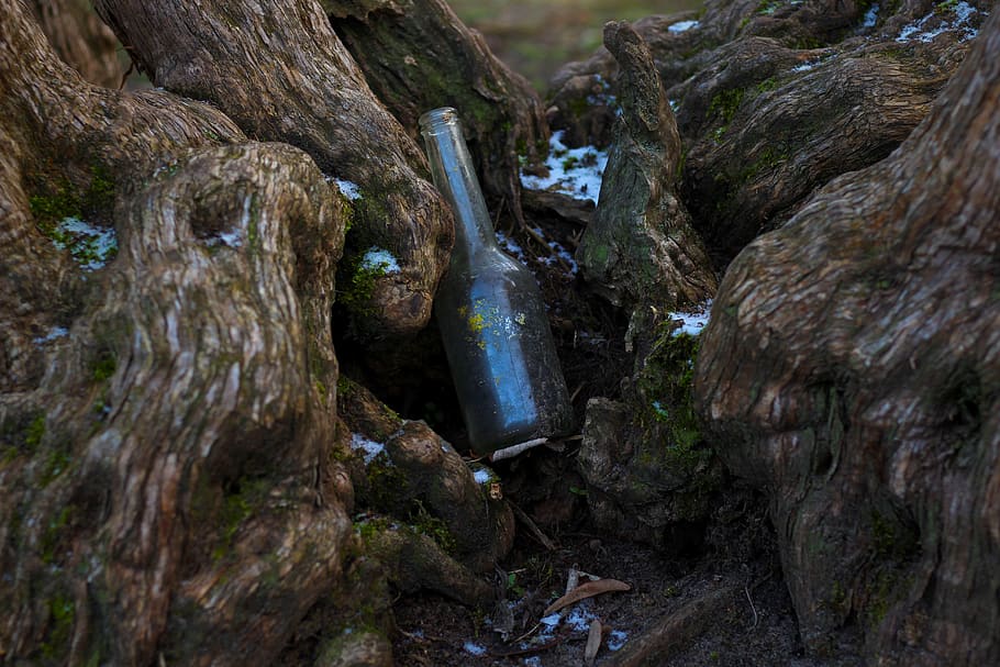 bottle, glass bottle, old, root, tree, tree roots, moss, rots, message in a bottle, garbage