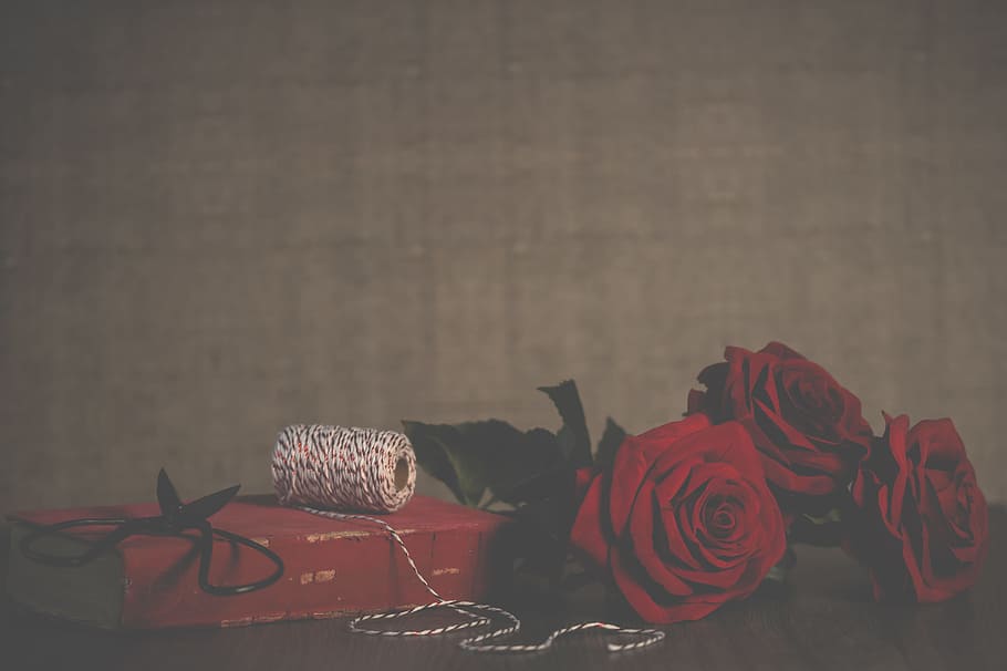 Día de San Valentín, rojo, rosas, papel tapiz, cuerda, tijeras, vintage, retro, libro, fondo
