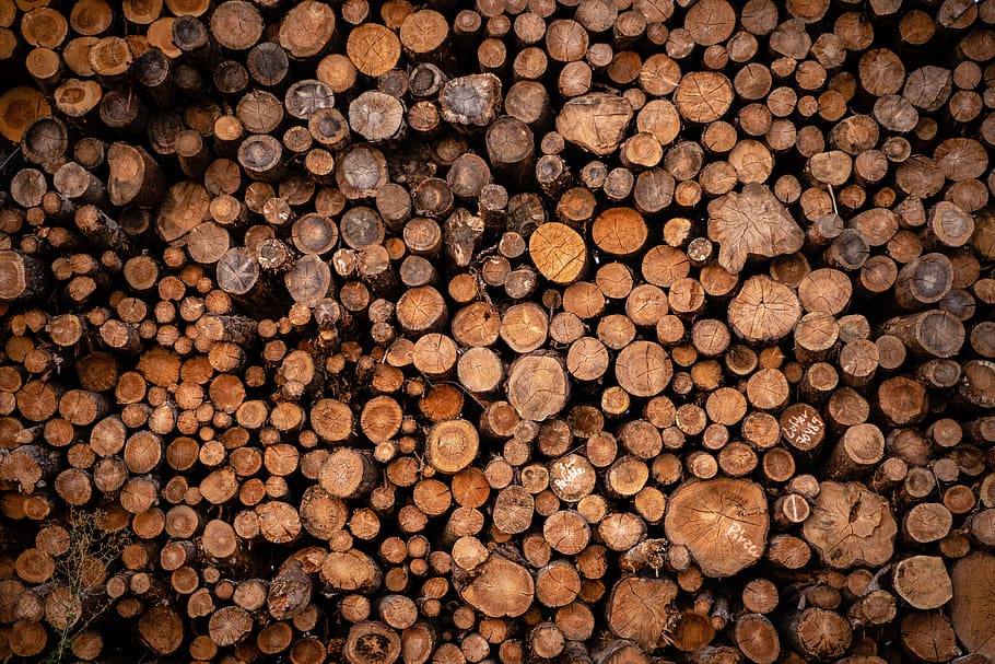 pila de madera, holzstapel, troncos de árboles, leña, madera, pila, almacenamiento, apilados, material en crecimiento, existencias