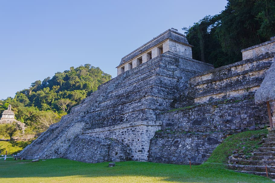 chiapas, méxico, nature, jungle, architecture, ruins, culture, mayan, prehispanic, palenque
