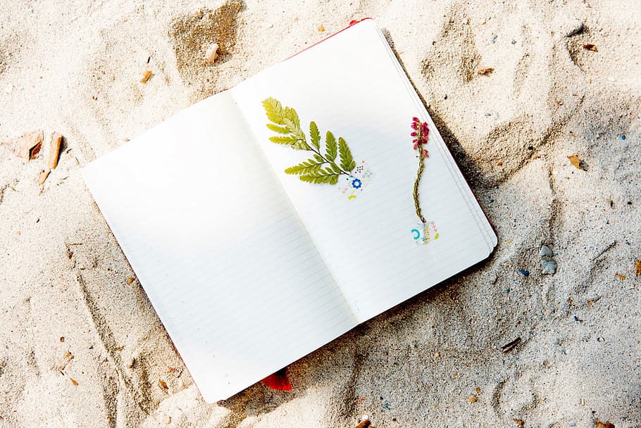 areia, praia, plantas, caderno, artes, artesanato, papel, vista de alto ângulo, ninguém, natureza morta
