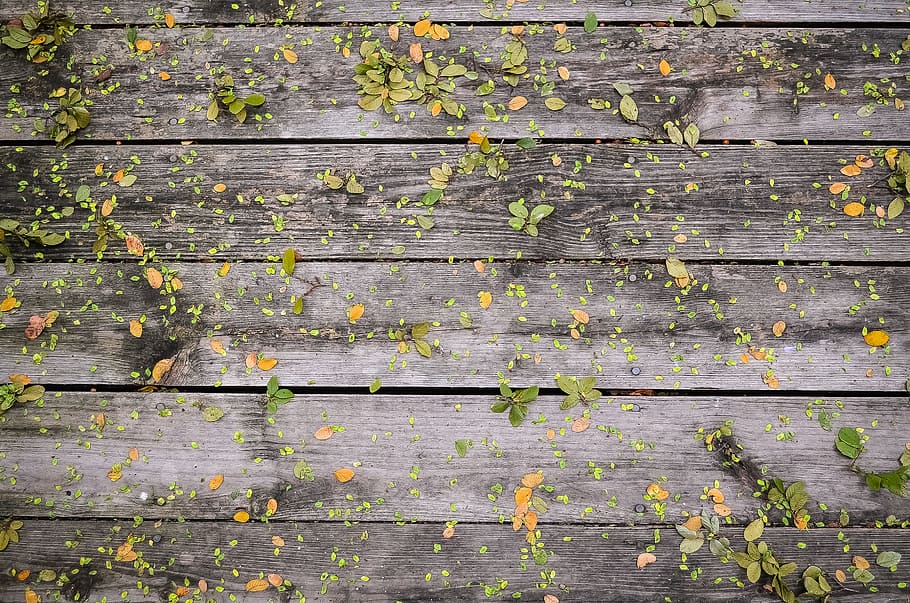 autumn, gray, green, leaves, planks, wood, yellow, full frame, backgrounds, wood - material