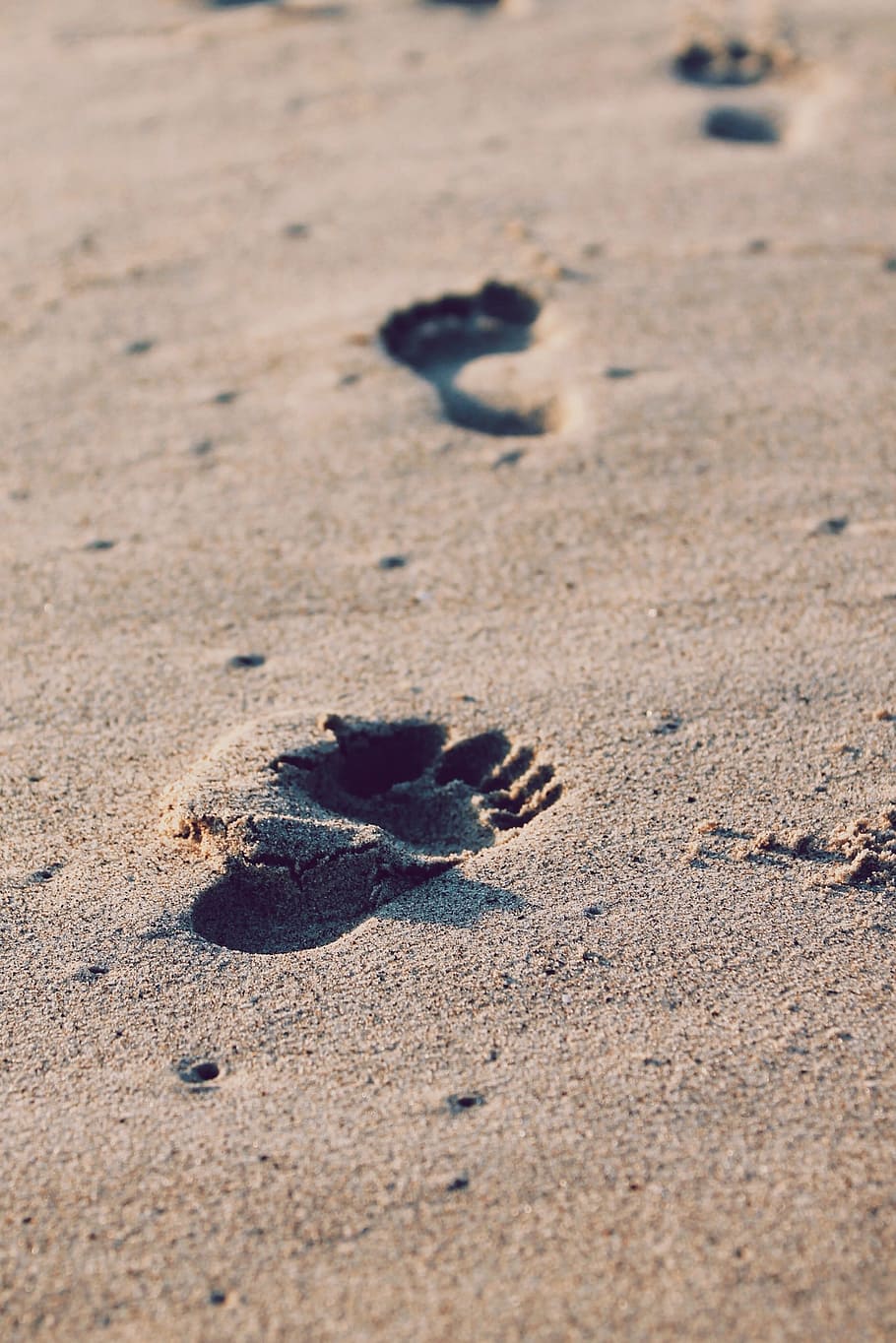 beach, sea, sand, rock, leaf, footprint, footstep, feet, shadow, soil