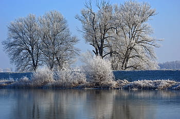 hoarfrost-ripe-nature-landscape-royalty-free-thumbnail.jpg