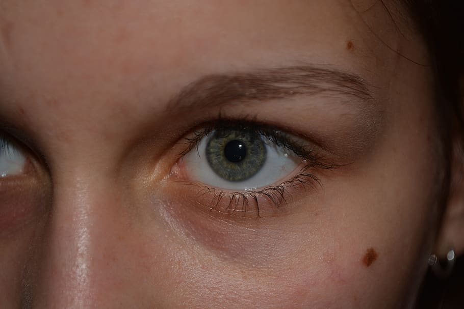 eyes, green, face, eyebrows, woman, female, eyelashes, view, macro, see