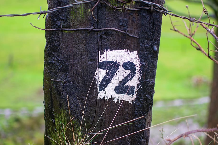number, 72, post, canal side, painted, black, white, grass, barbed wire, wet