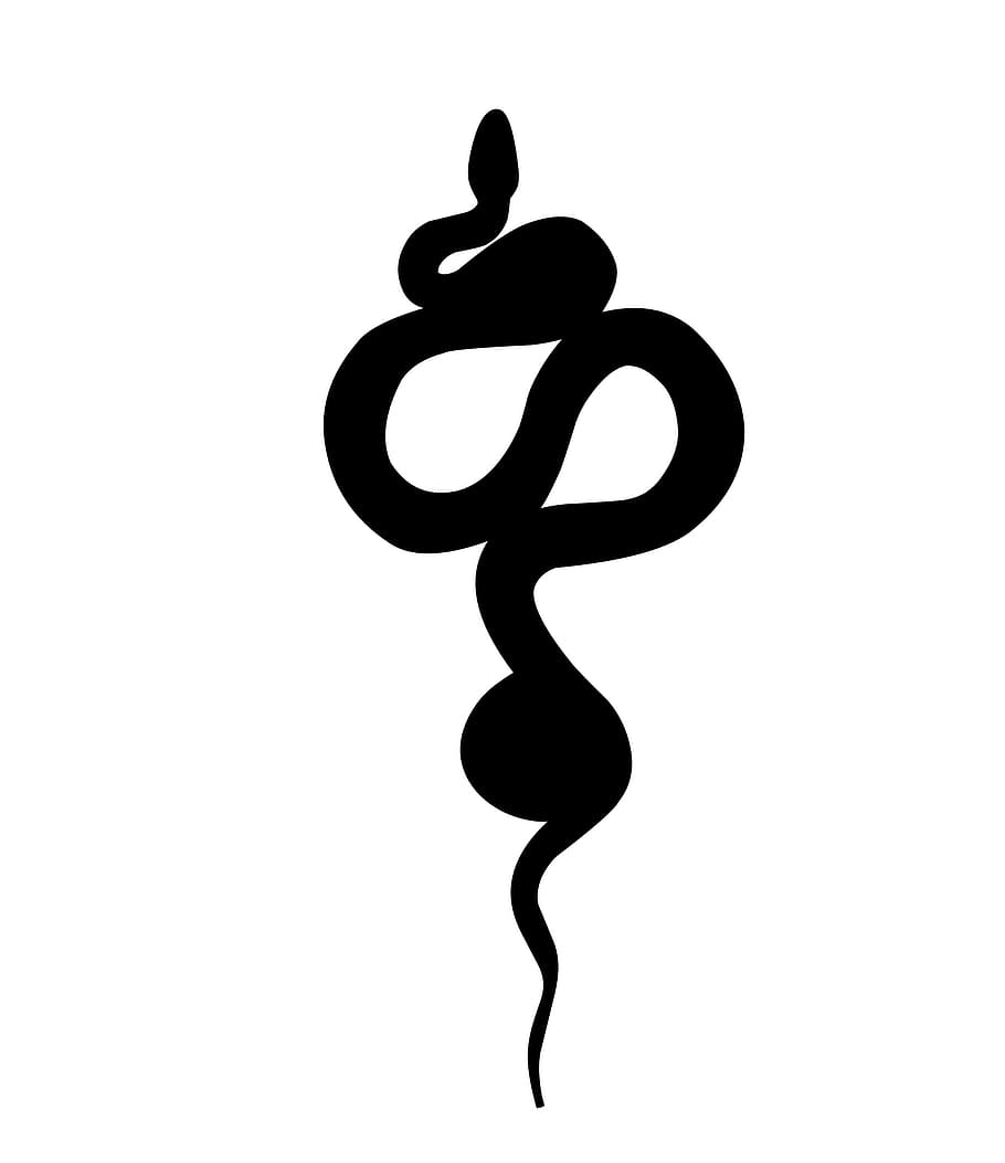 illustrated, silhouette, snake, white, background., tattoo, cobra, reptile, mamba, nature