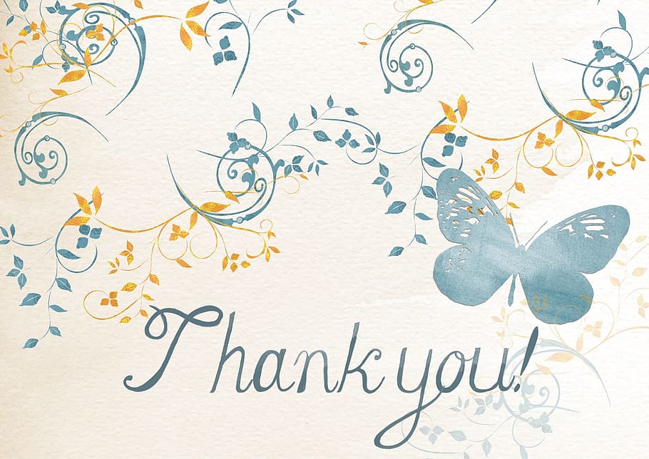 thanks, thankyou, card, paper, graphics, pattern, communication, art and craft, creativity, text