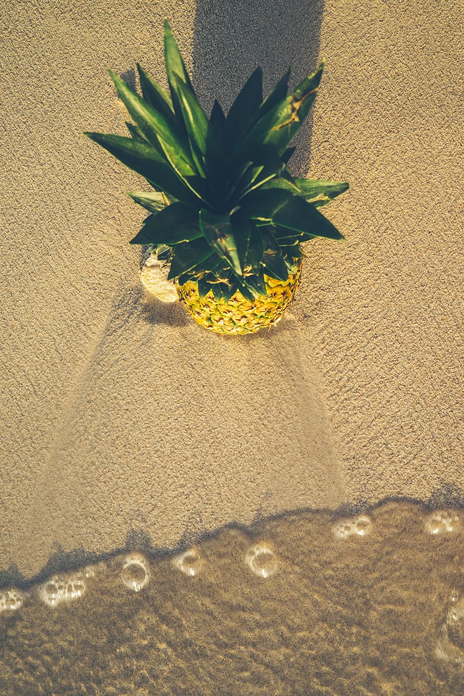 pineapple, beach, exotic, fruit, summer, nature, plant, sunlight, day, growth