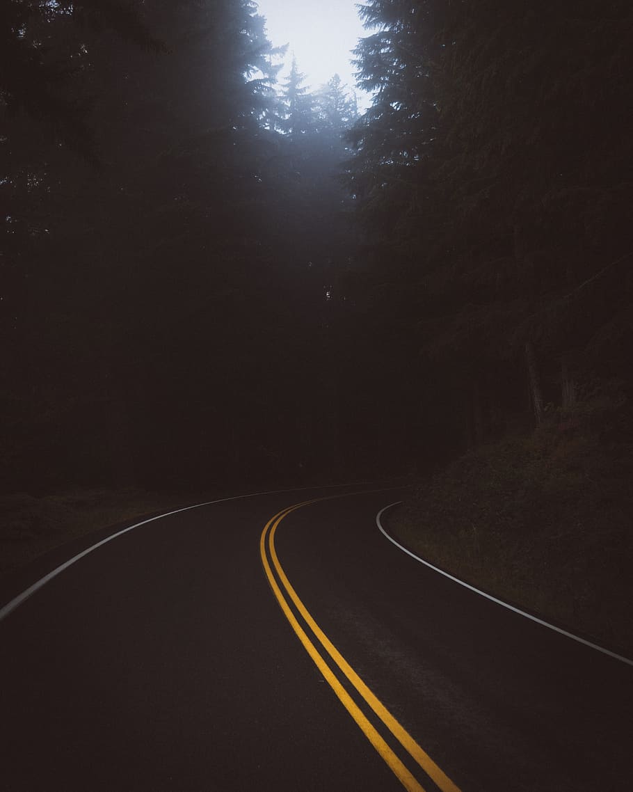 gelap, jalan, perjalanan, pohon, tanaman, alam, transportasi, jalan ke depan, tidak ada orang, tanda jalan