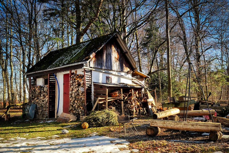 hut, glade, forest, wood mint, trees, barn, log cabin, romantic, winter, landscape